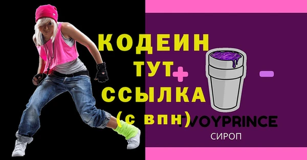 гашик Краснослободск