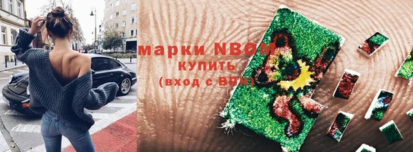 гашик Краснослободск
