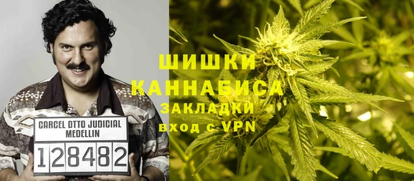 гашик Краснослободск
