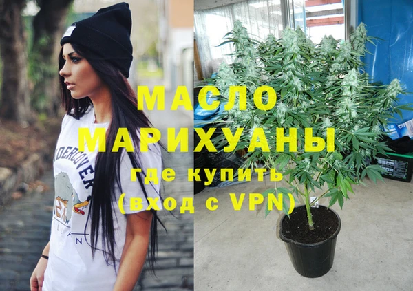 гашик Краснослободск