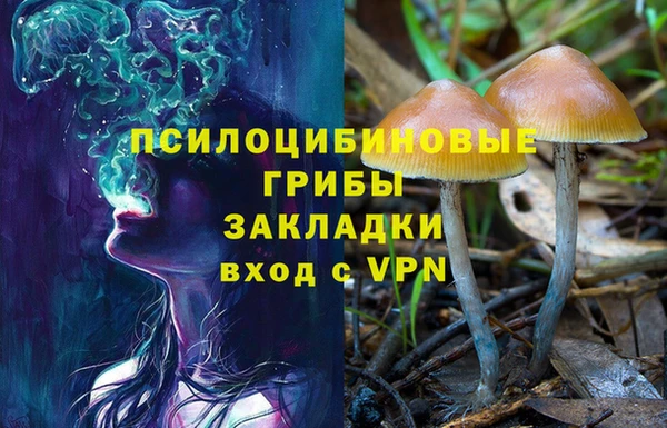 ГАЛЛЮЦИНОГЕННЫЕ ГРИБЫ Краснотурьинск