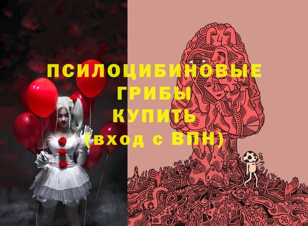 гашик Краснослободск