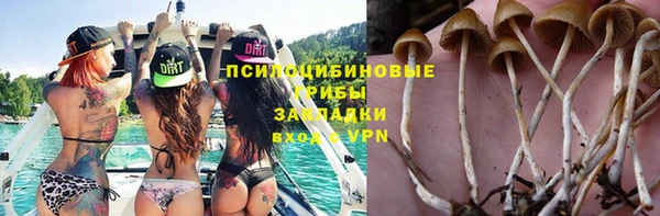 гашик Краснослободск