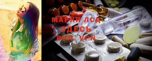 ГАЛЛЮЦИНОГЕННЫЕ ГРИБЫ Краснотурьинск