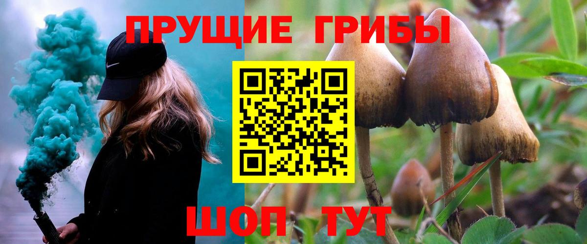 Галлюциногенные грибы мицелий Махачкала