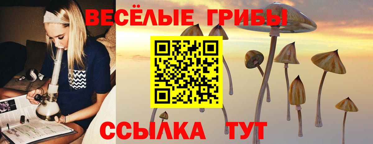 Псилоцибиновые грибы мицелий  закладки  Махачкала  Вход с VPN 